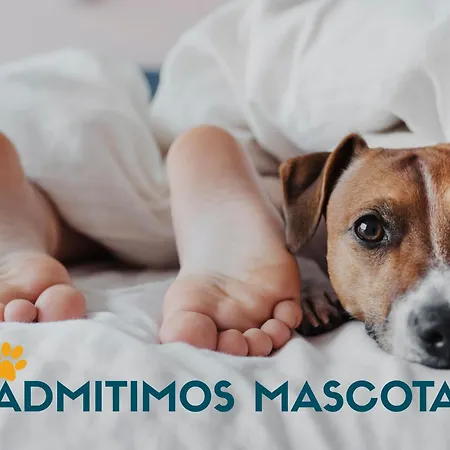 Olimpo 3000 Lejlighed